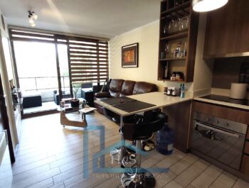 Venta Depto. De 1 Dom. 1 Baño En Las Condes